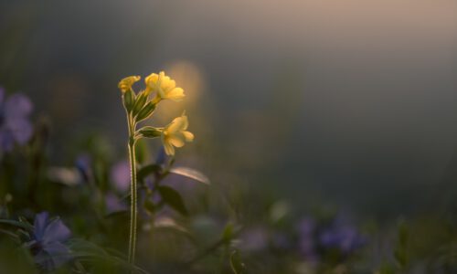 andreas-kretschmer-a1n7gfd-Dkw-unsplash